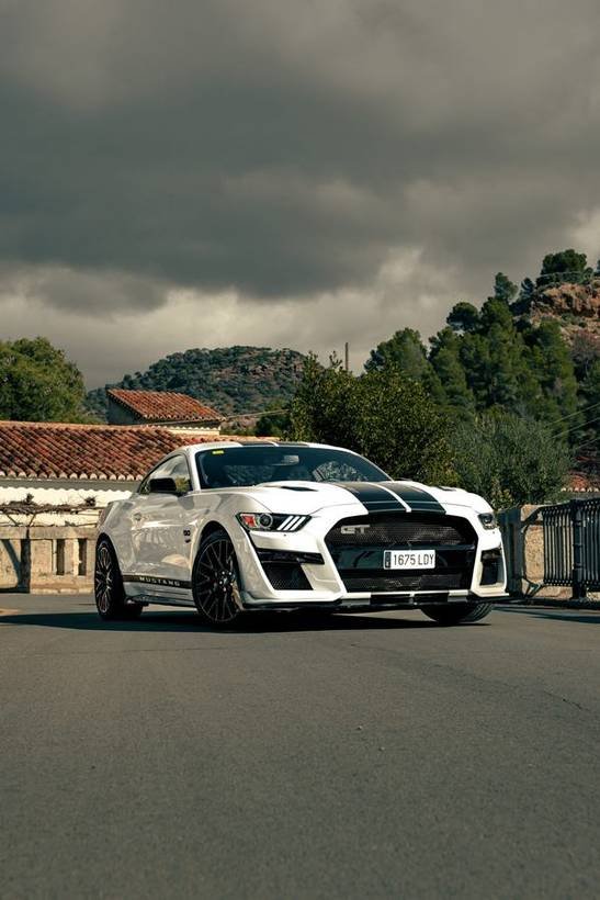AutoFocus